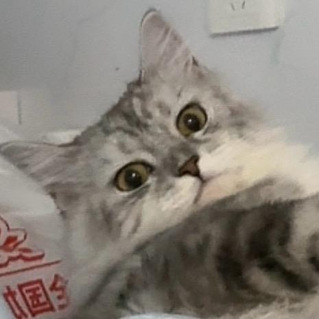 璐不璐