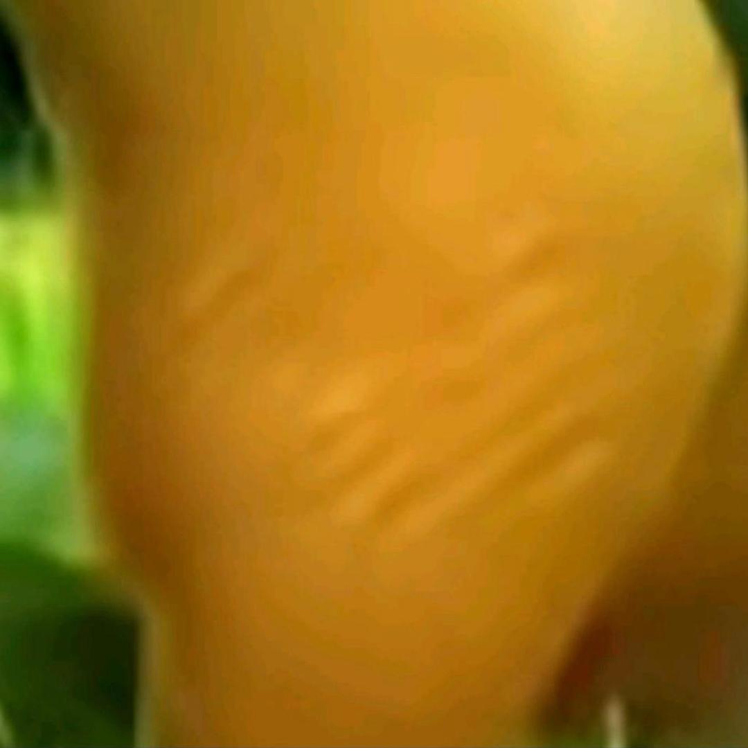 龙江嘉睿商务集团（博朗班）