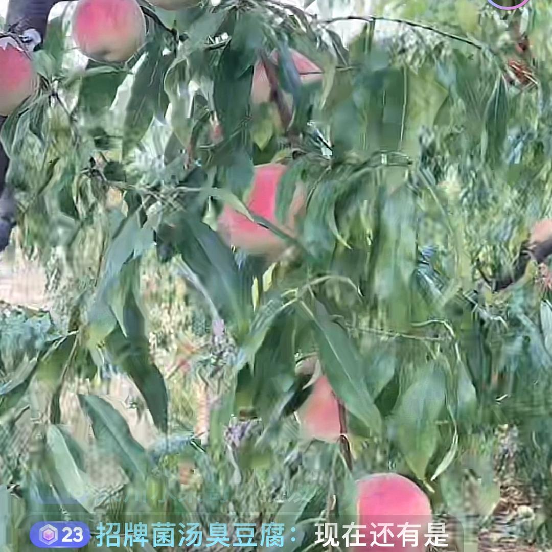 智慧