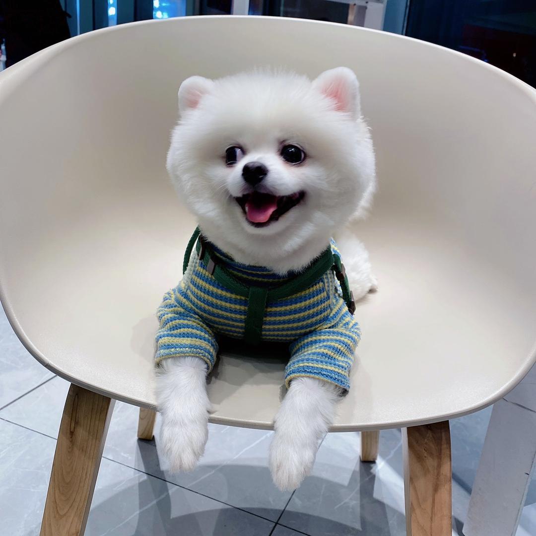 小呦家现烤鸡蛋糕🍰