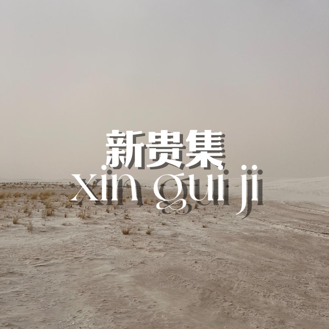 新贵集