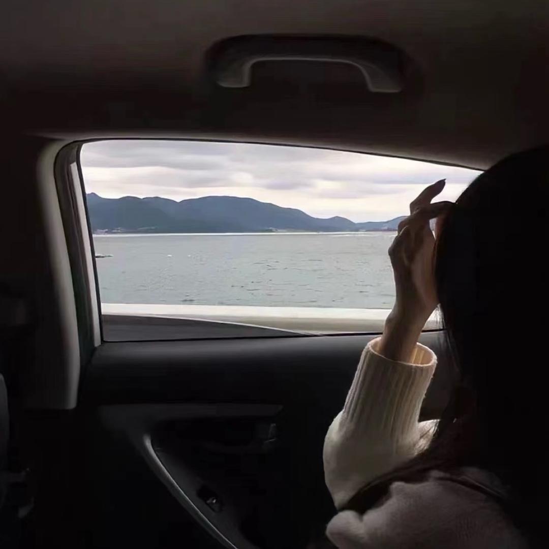 只愿与你养只猫