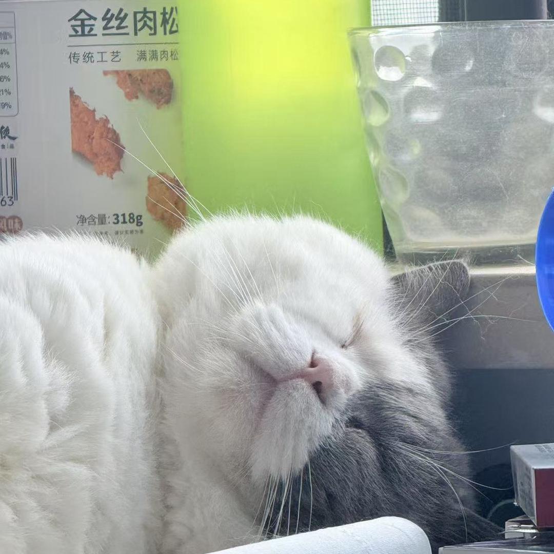大角牛