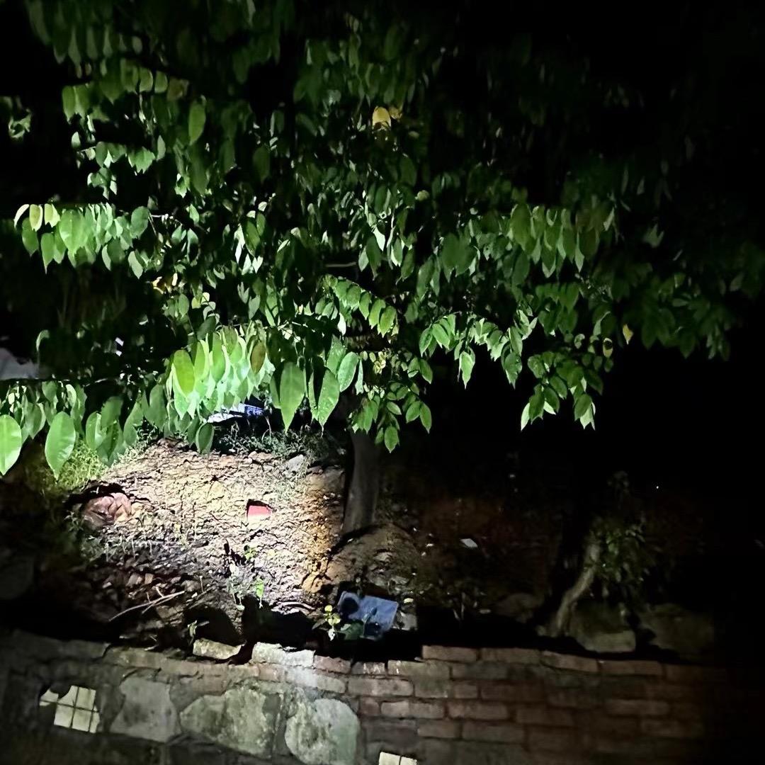 王一一