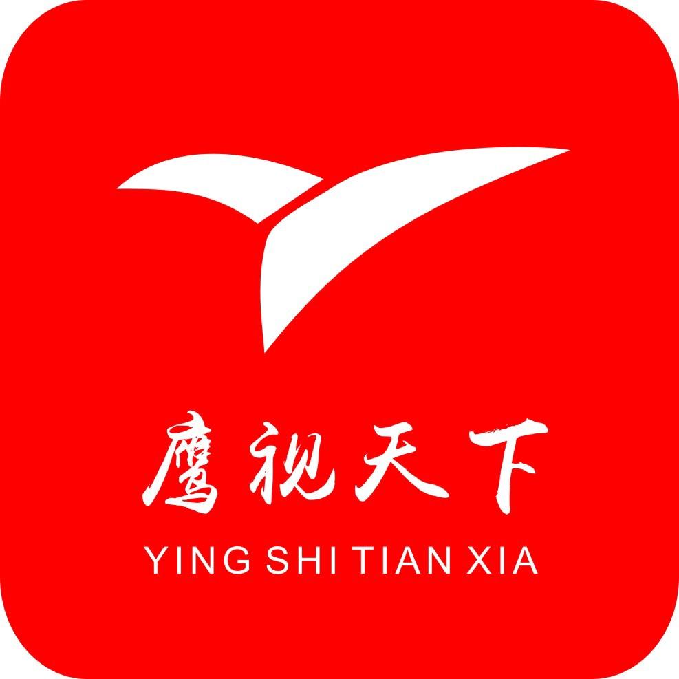 鹰视天下