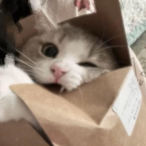 溜溜球（爱吃糖醋排骨版）