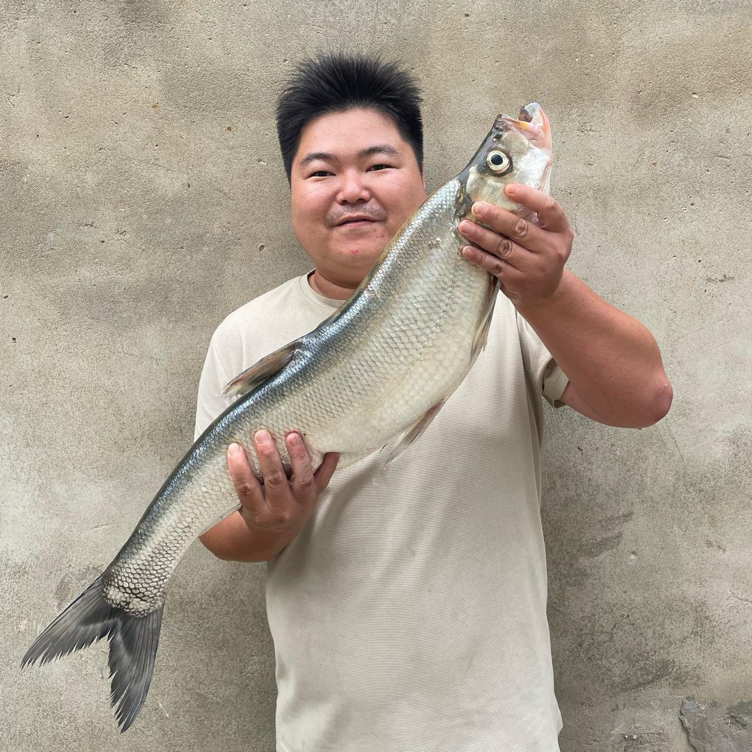 小姥爷酱豆-二胖