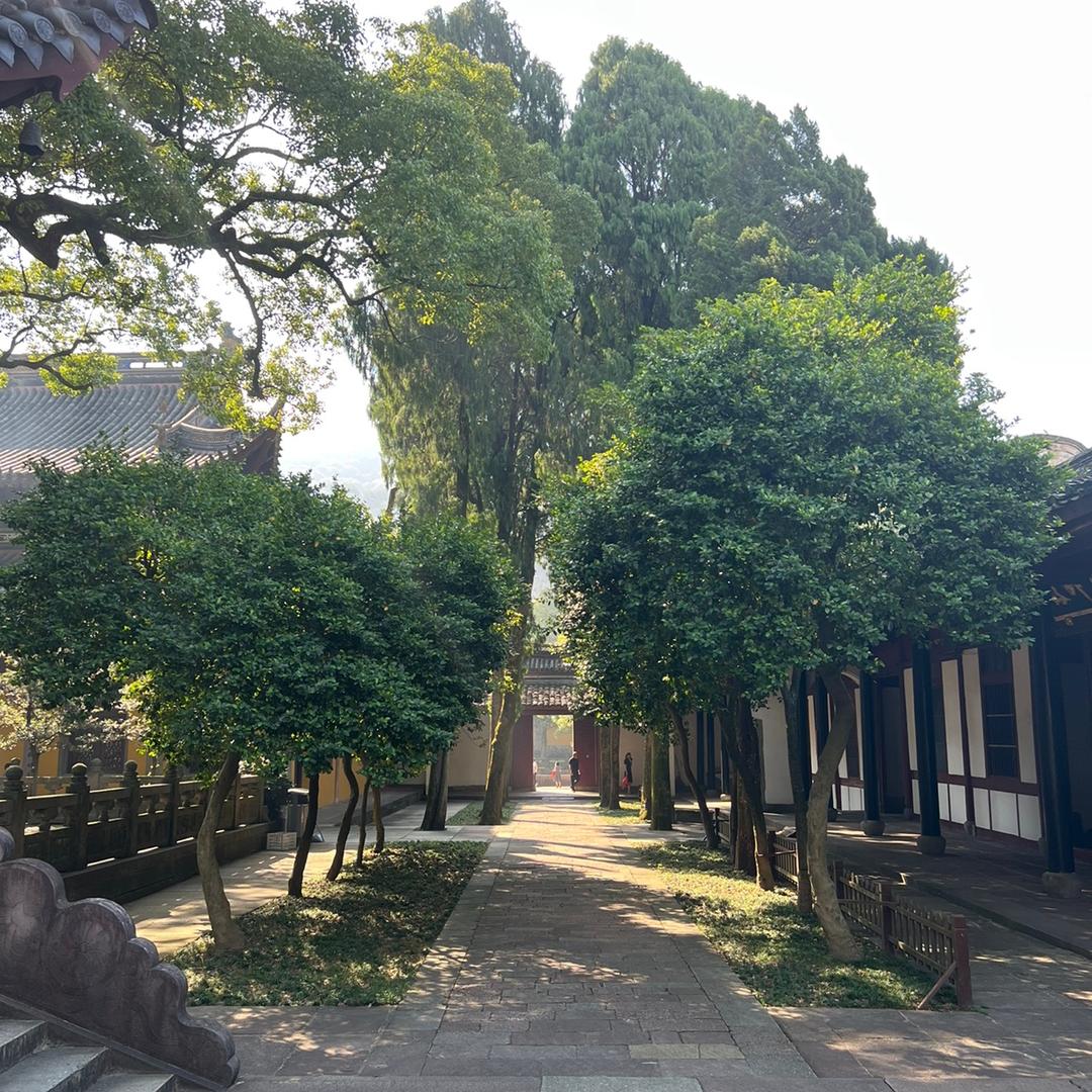 迷茫