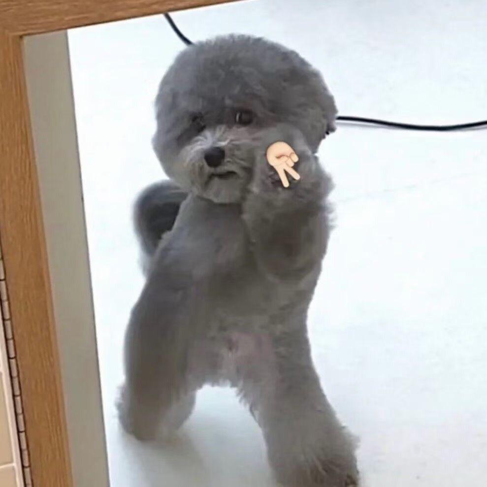 蔡佳阳