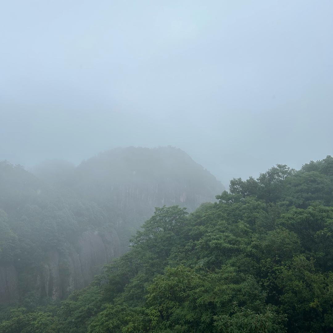王后余生