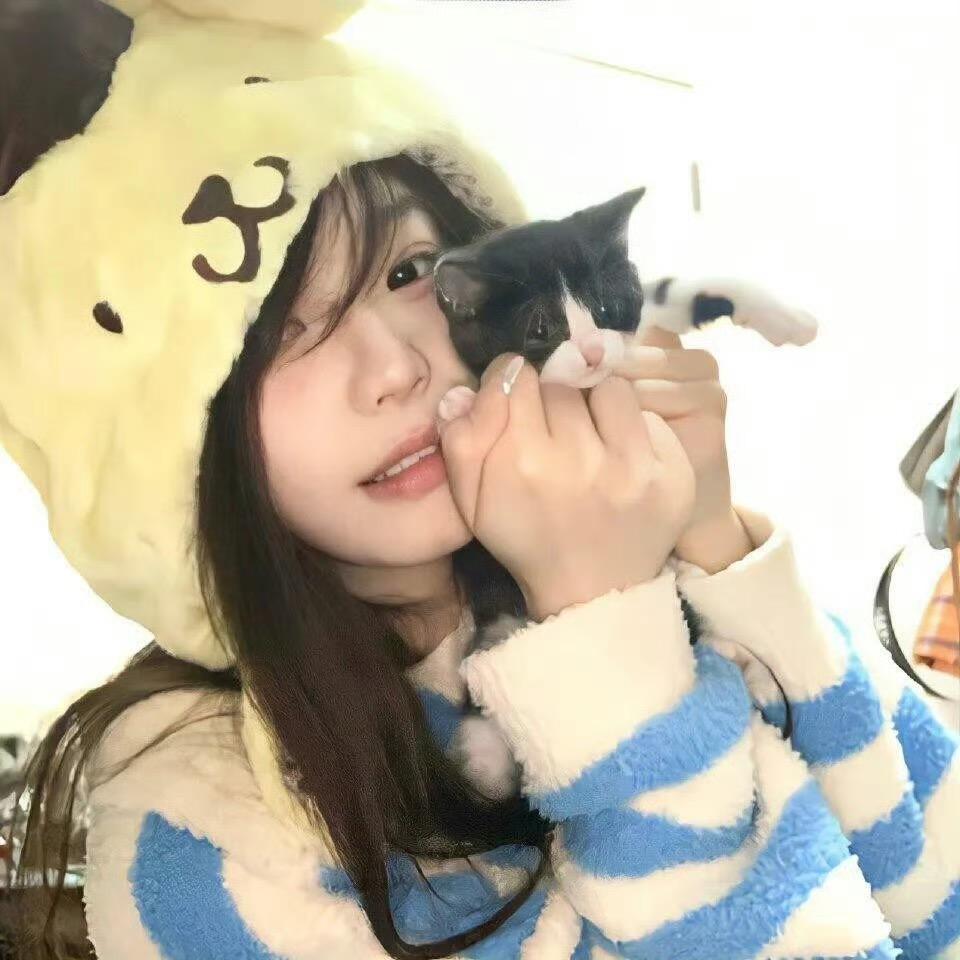 不听园游会