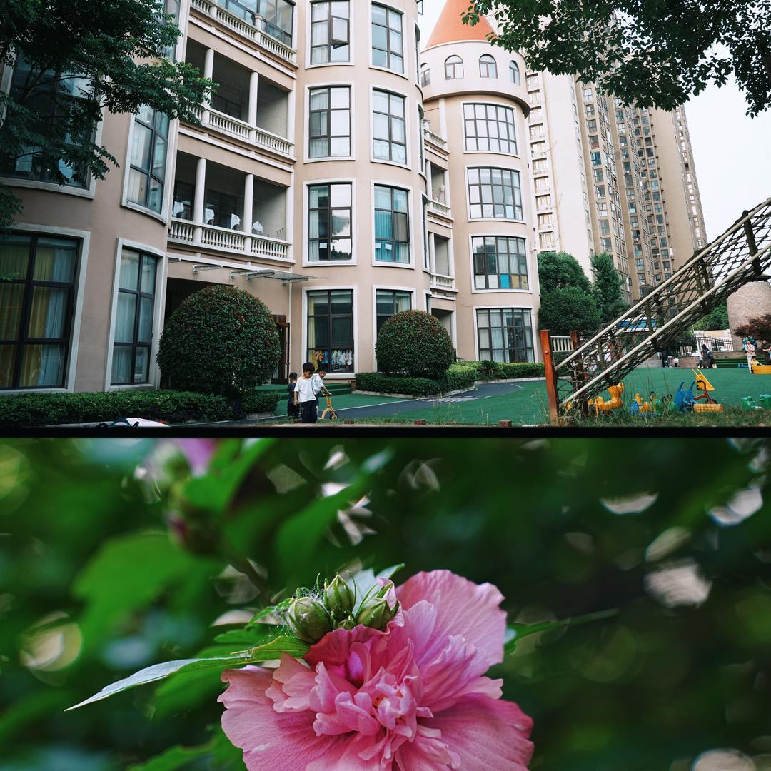 安徒生幼儿园茜茜老师👩🏫