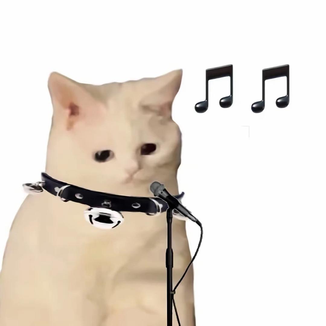 豫北声乐队