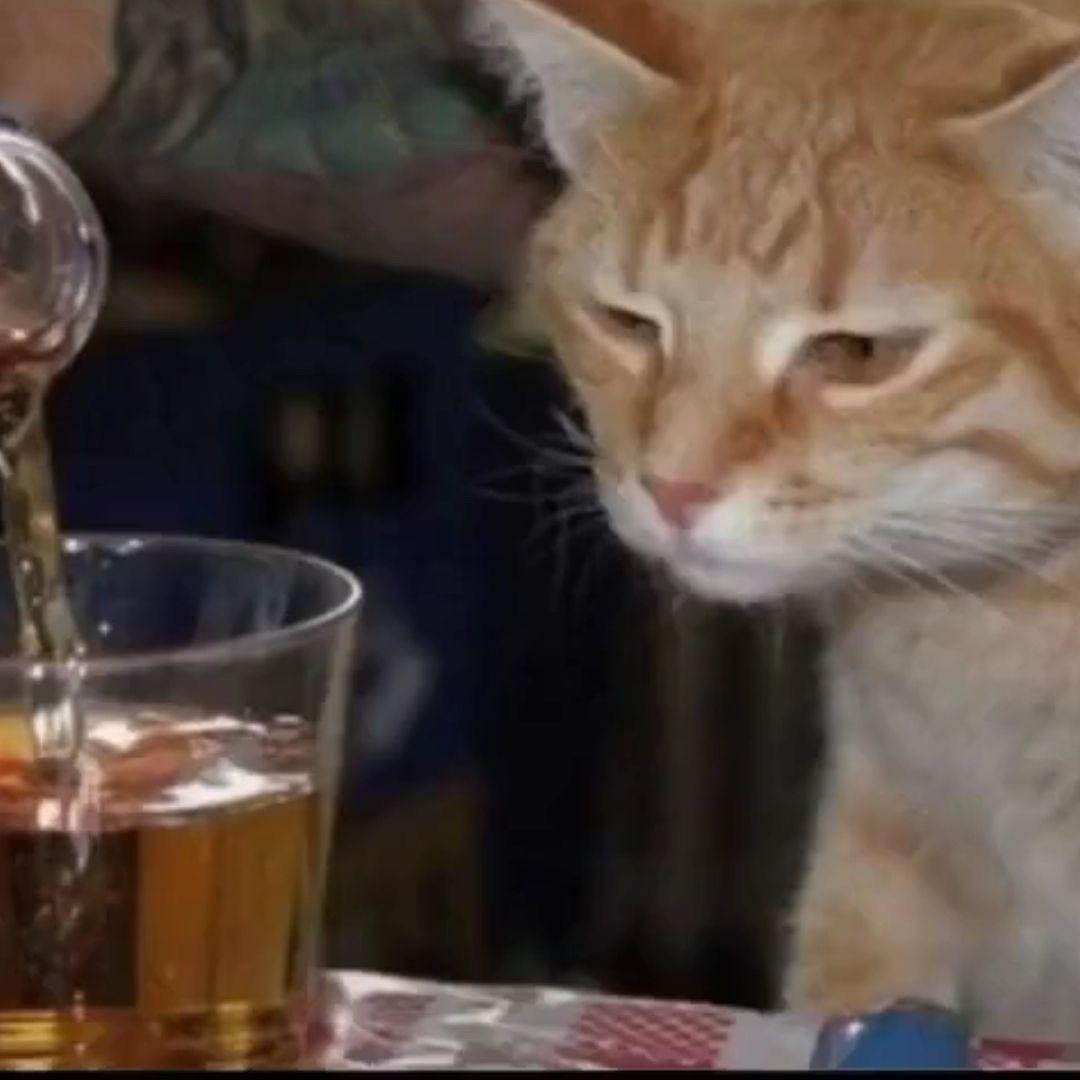 等朝雾（7.16登船版）