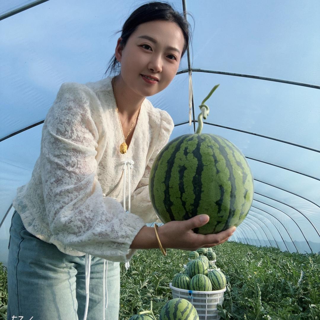 太和县麒麟西瓜代办代发（管）