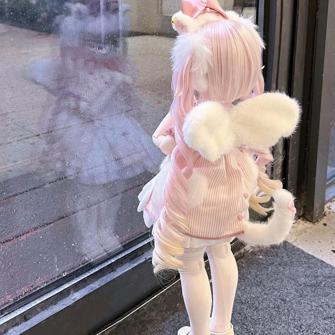小猫体质
