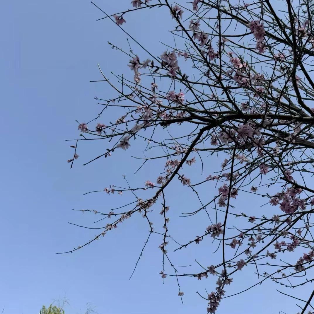 郝越—张老师
