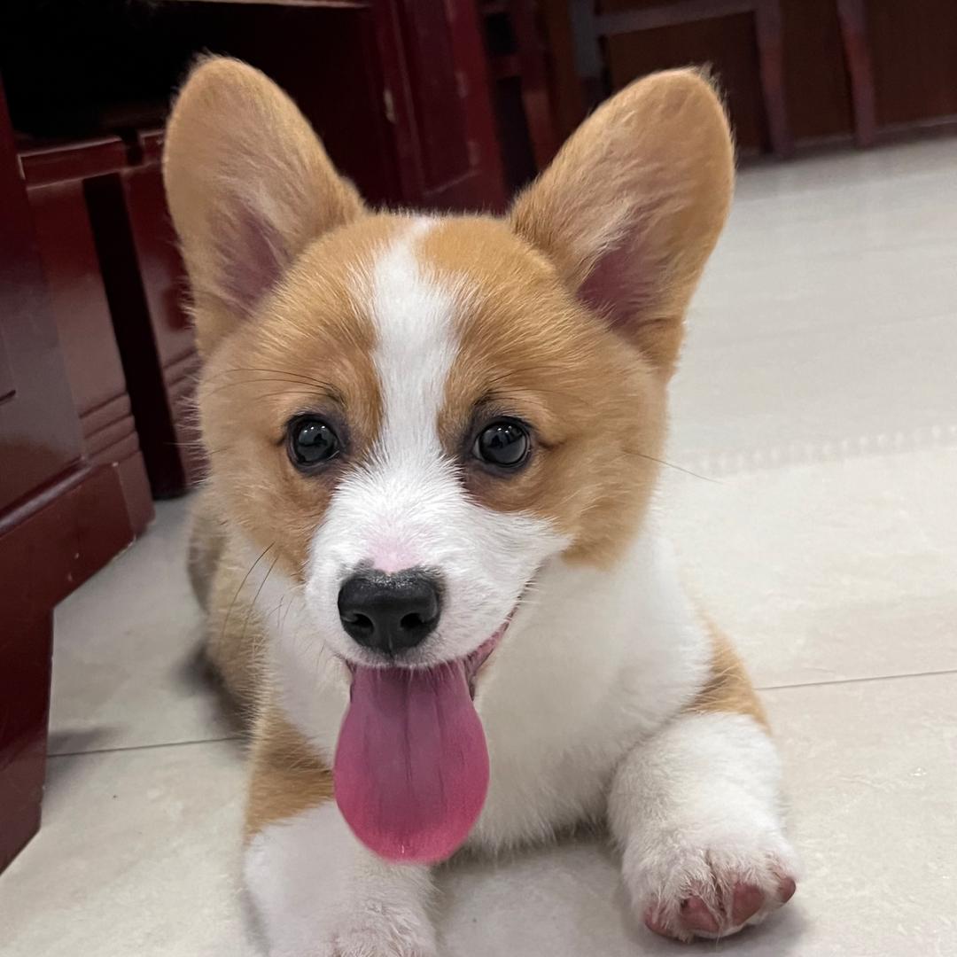 婷呀婷🌟