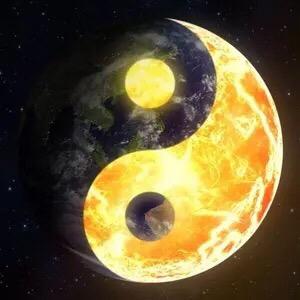 野鹤闲云