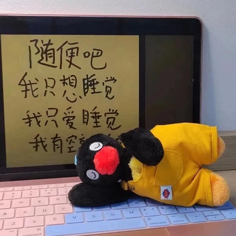 小羊苏苏_16