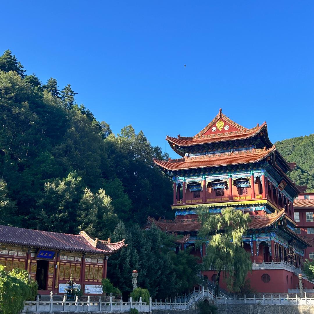 尼罗河小道士