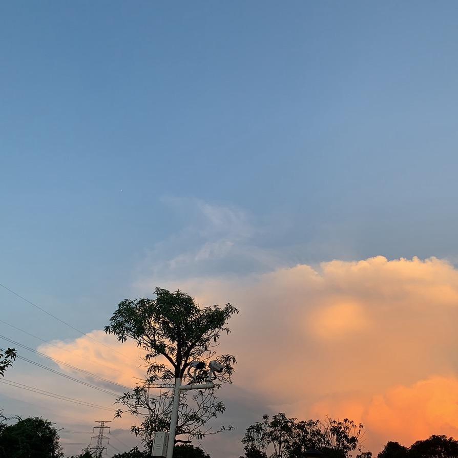 生活依旧伴着岁月前行