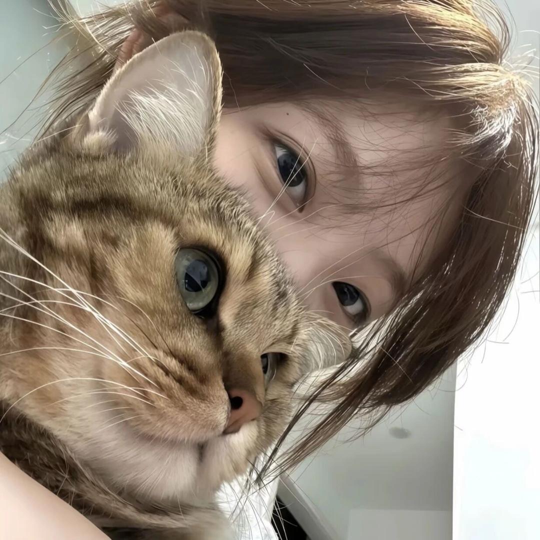 啵啵啵啵邪恶无敌大坏蛋