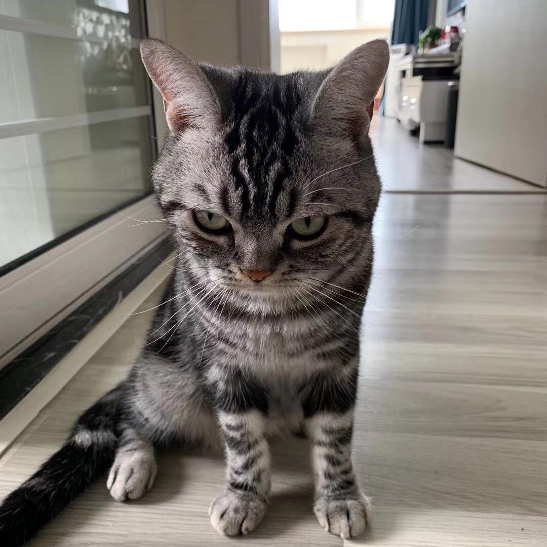 青岛德益新美居设计工程有限公司