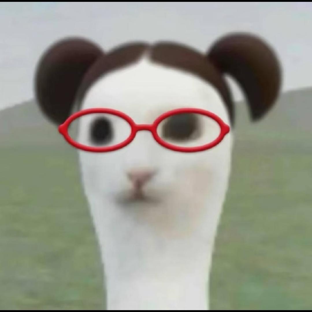 有猫饼