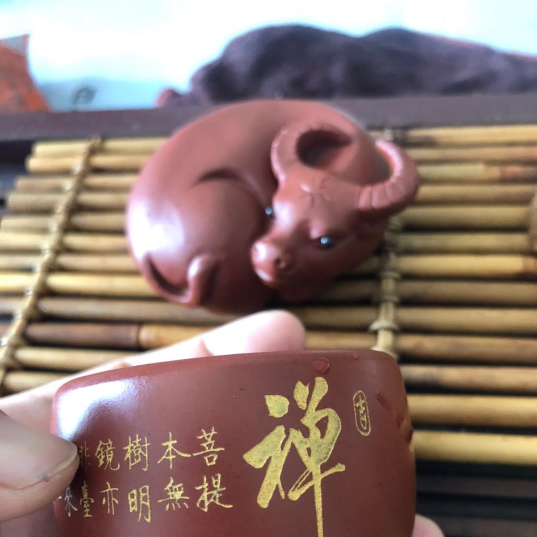模型玩具而已