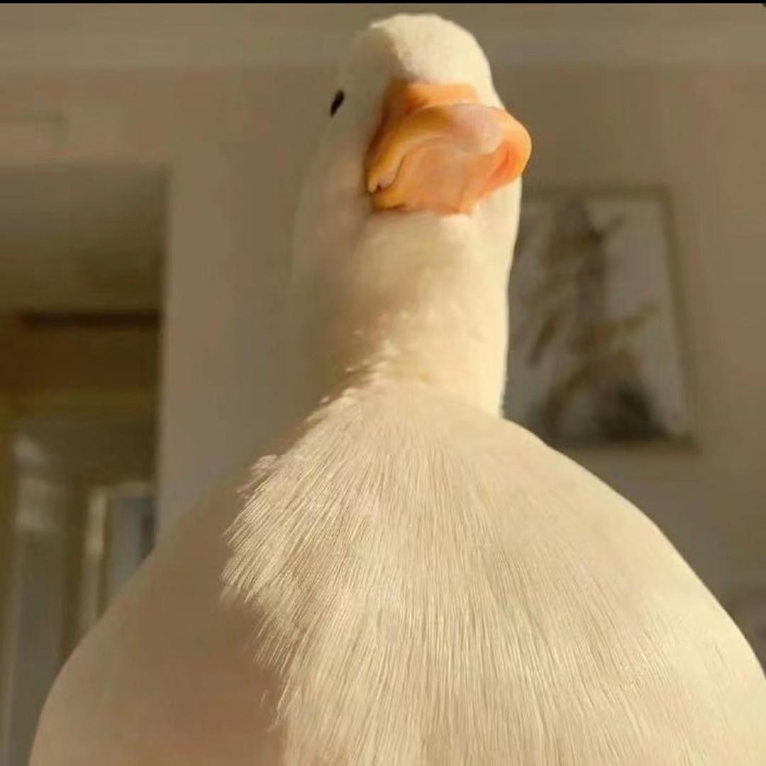 大鹅🦢.
