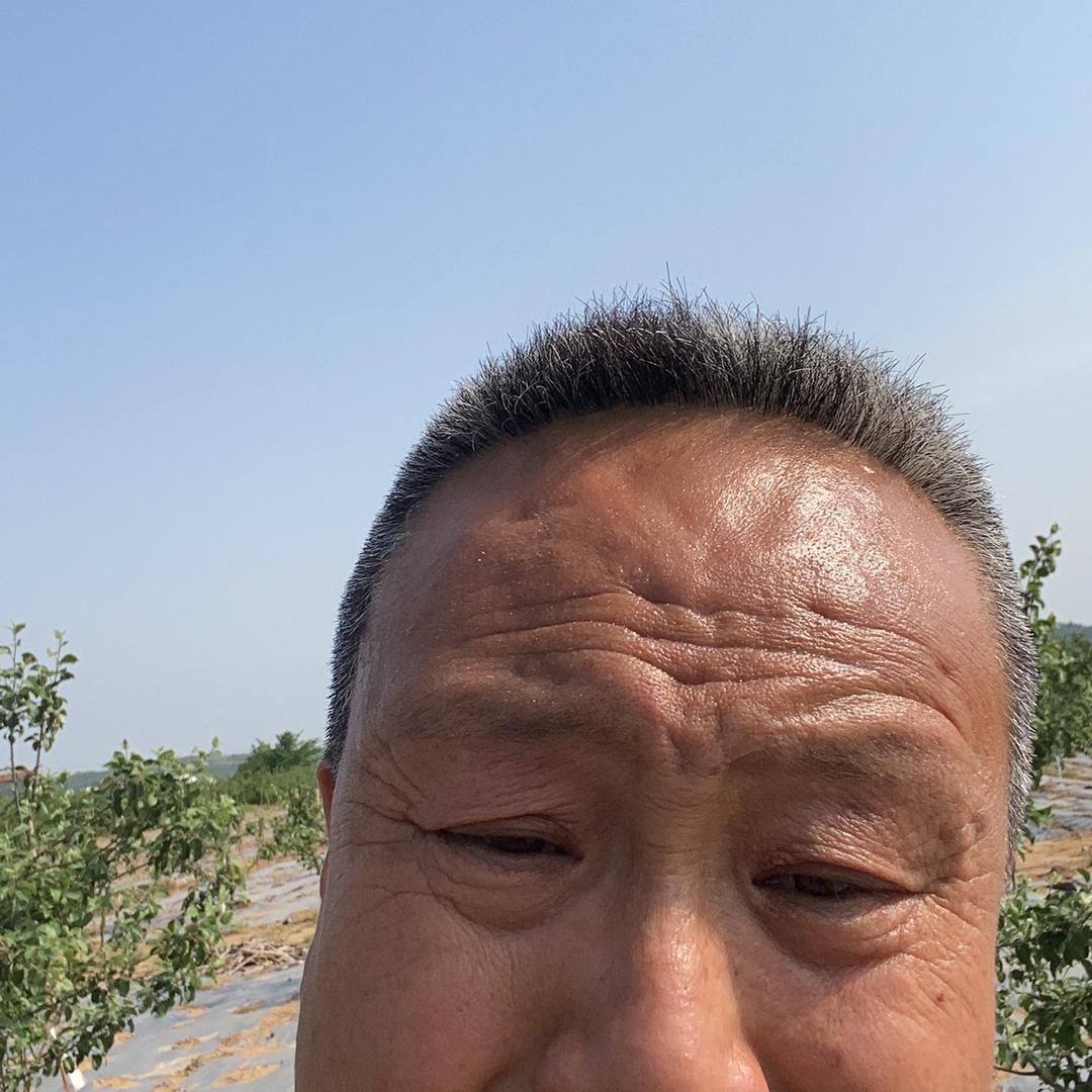 乳山市波英农资店