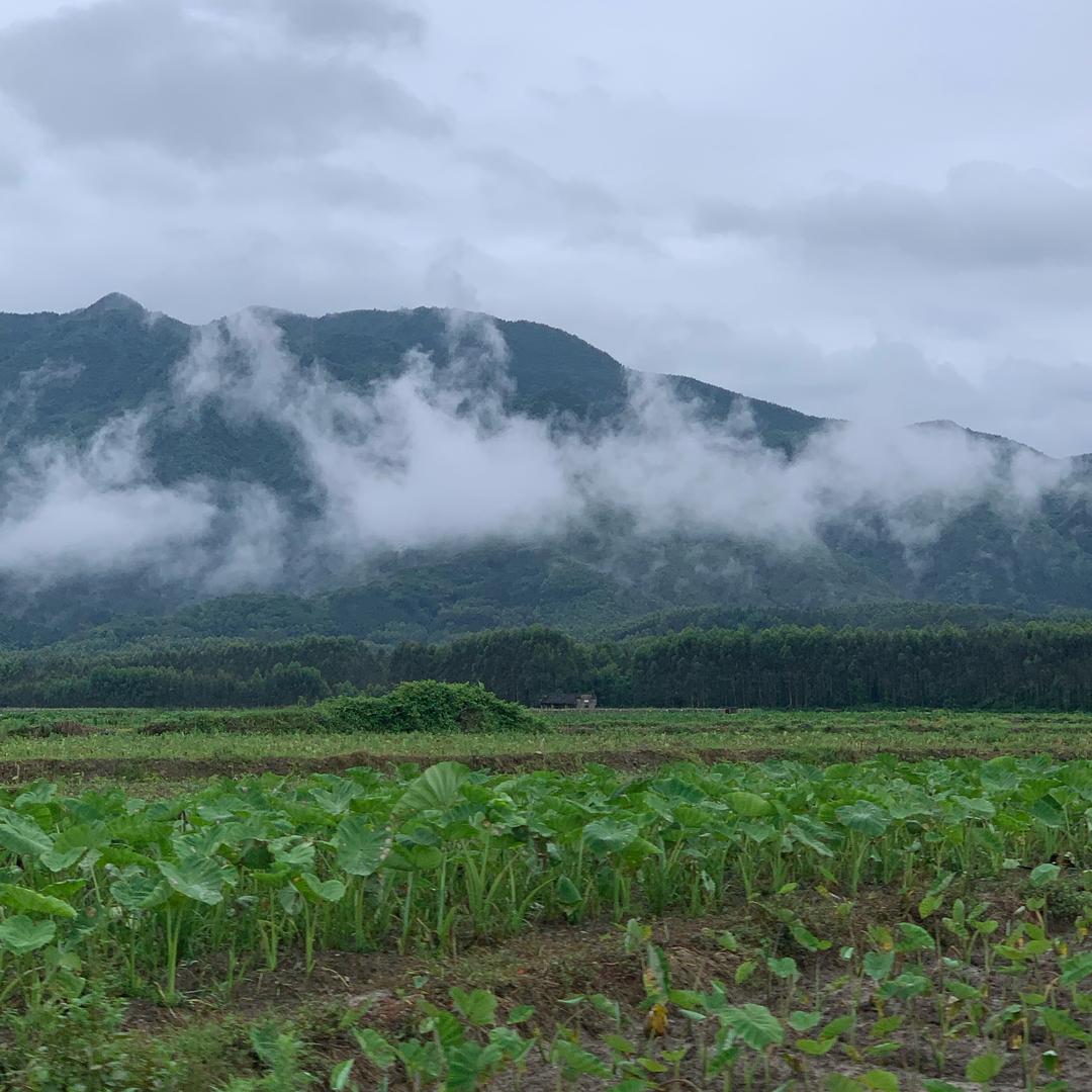 人间烟火
