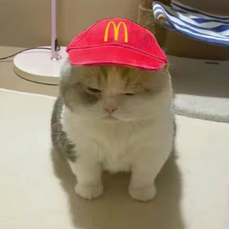 ૮๑′0`๑აིྀ