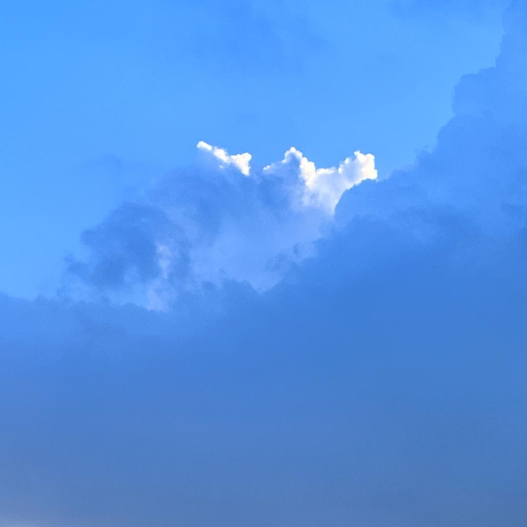小yan呀