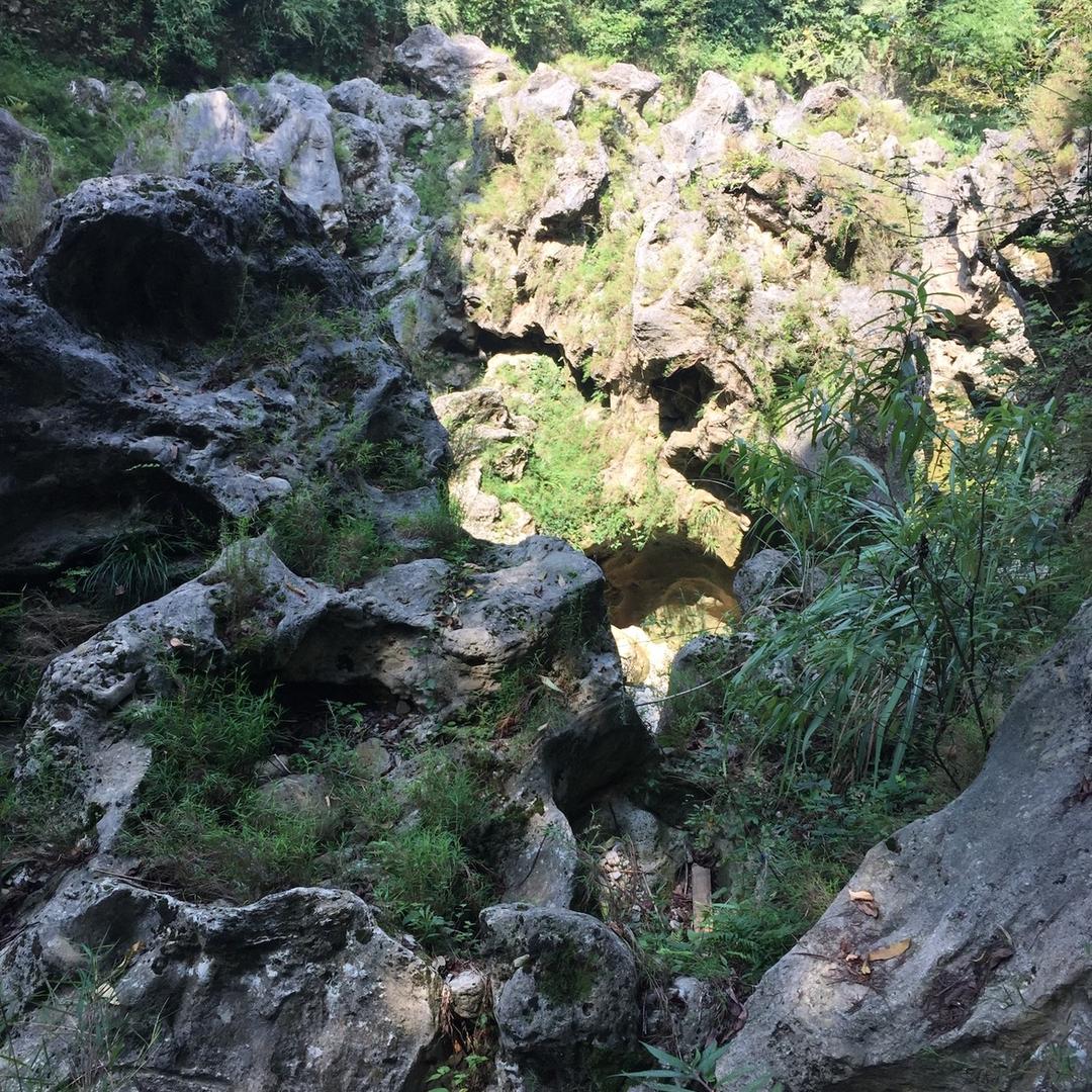 室内装修房子的帅哥🤵