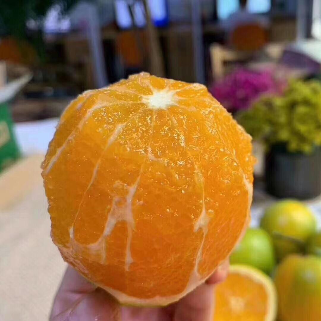 都发食品甄选