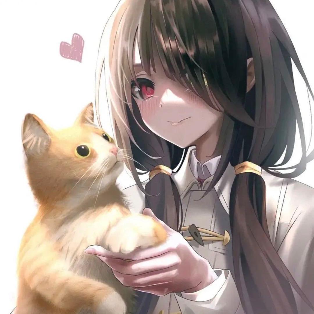 冬月十二序