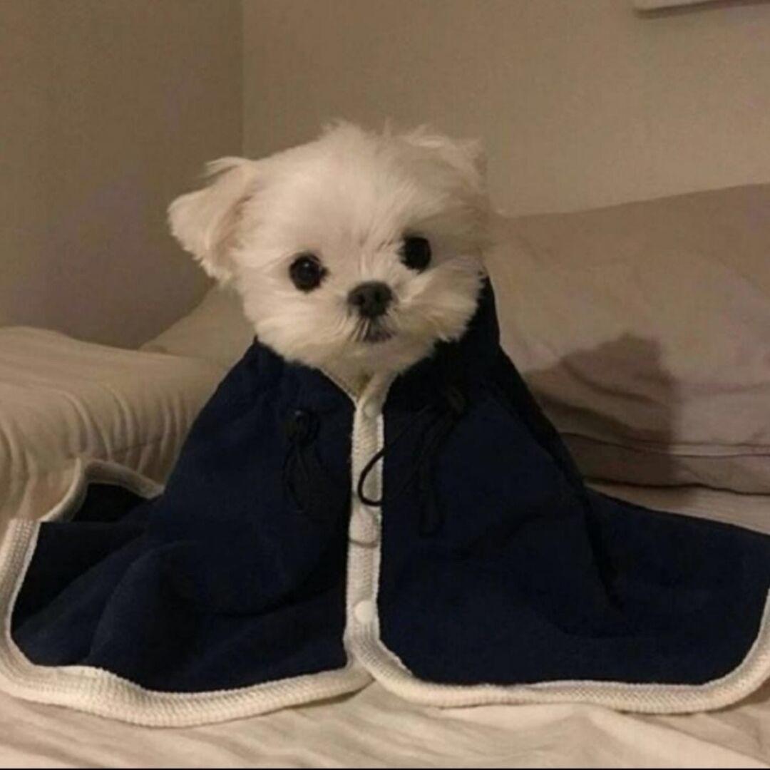 晚风^_^