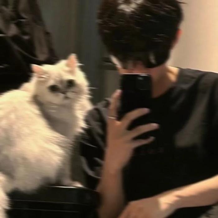 安逸（国服阿骨朵 露露 澜