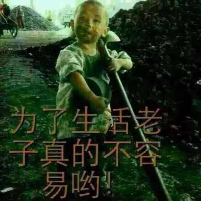 土豆霞霞