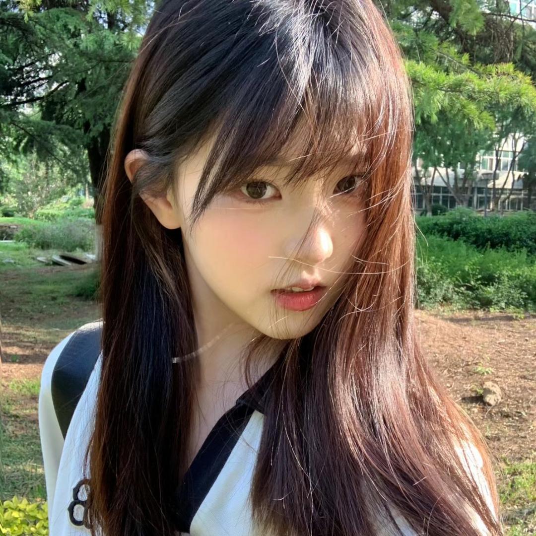 葱葱