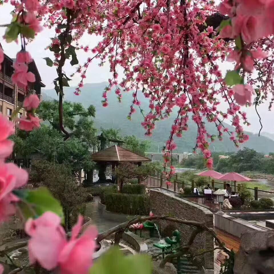 顺溜🌸