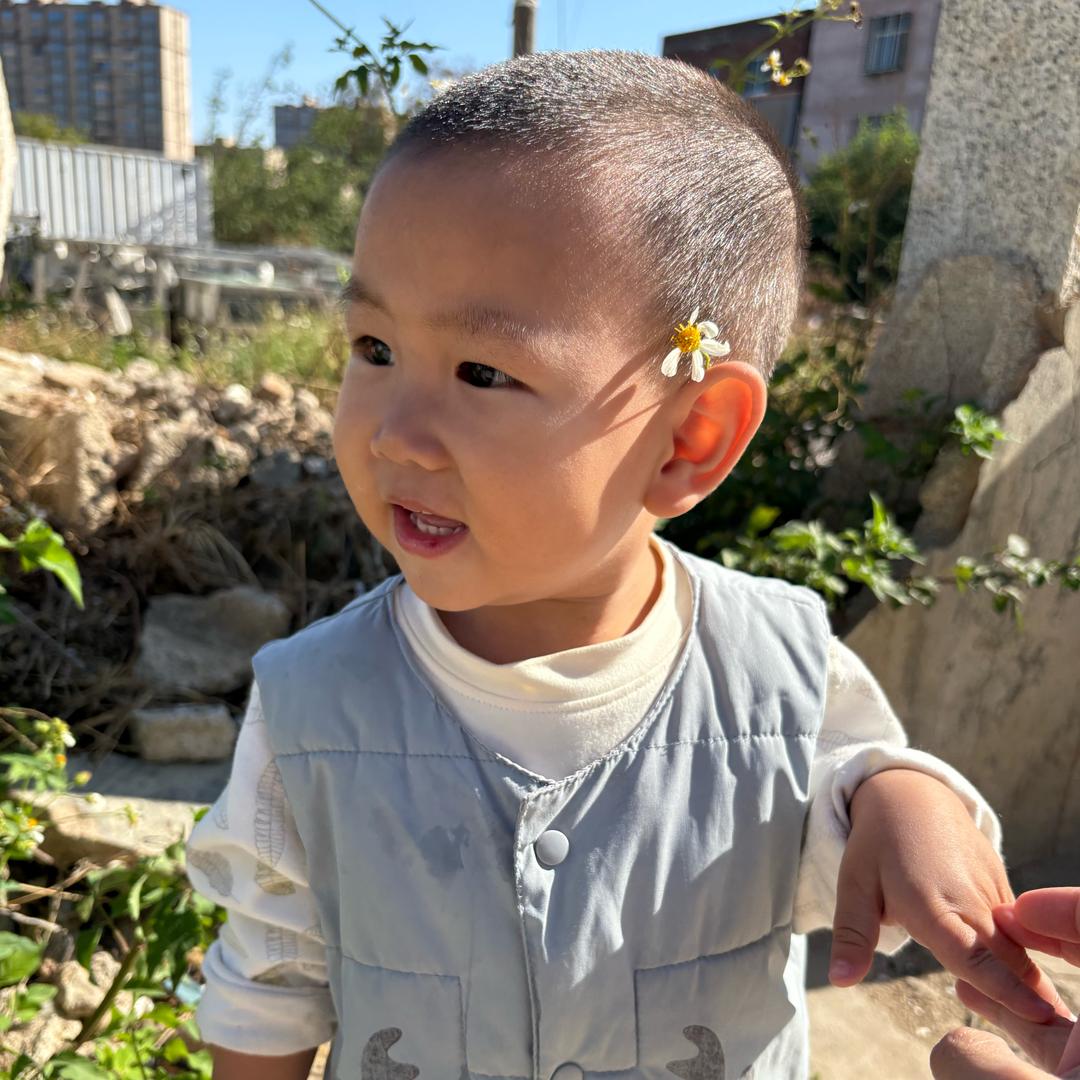 喆宝幼崽饲养所