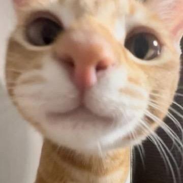 不要停止我的音乐