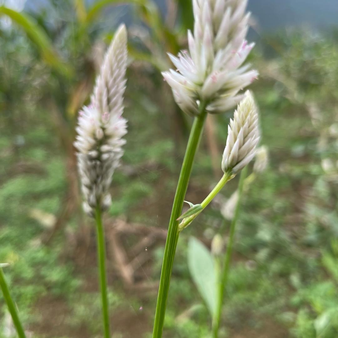 @龙生爱唱歌🎤