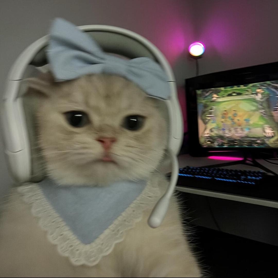 菜菜的小游戏日记 (手游版)