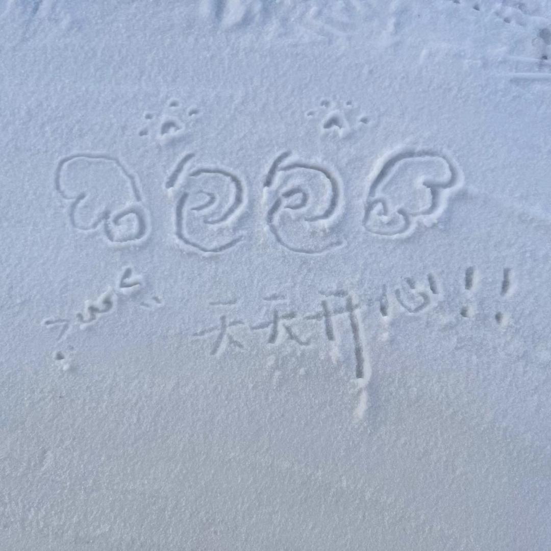 不是小包