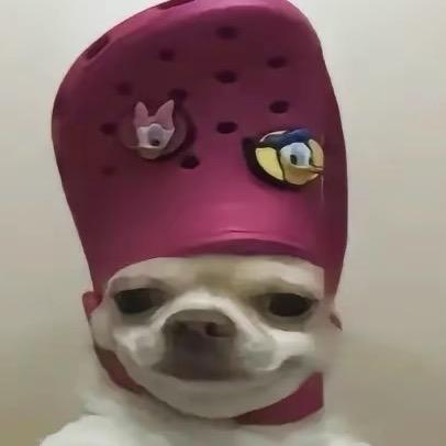 林北咖喱共