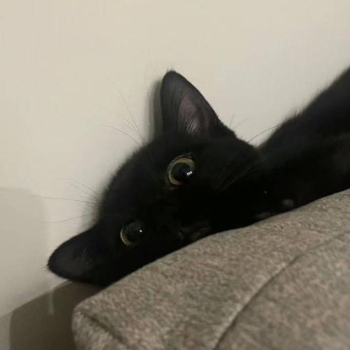 812